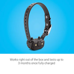 Garmin BarkLimiter Deluxe stainless-contact-points for all coat types.