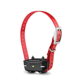 Garmin PT10 dog device on red collar closeup for training visibility