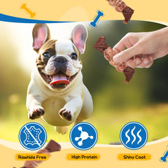 Gazeupon dog treat high-protein option supports active dogs