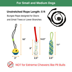GDuolaPaws TPR rubber jingle ball adds squeak and treat-dispensing action