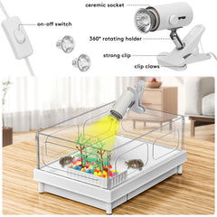 Geegoods Turtle Tank Kit filter running quietly to promote steady water circulation