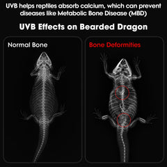 GeeKoit UVB light 12inch side controls shows timer and dimming in action