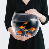Geelin 1.5 gallon fish bowl with panoramic view for easy observation