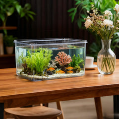Geelin square fish tank shows crystal-clear clarity for life inside