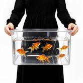 Geelin square fish tank panorama view for full-angle observation