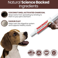 Generic 30 cc Activated Charcoal Gel for Dogs mixed into food for easier dosing.