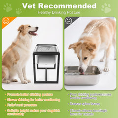 Generic adjustable height dog water bowl stand at 10 inches for medium dogs
