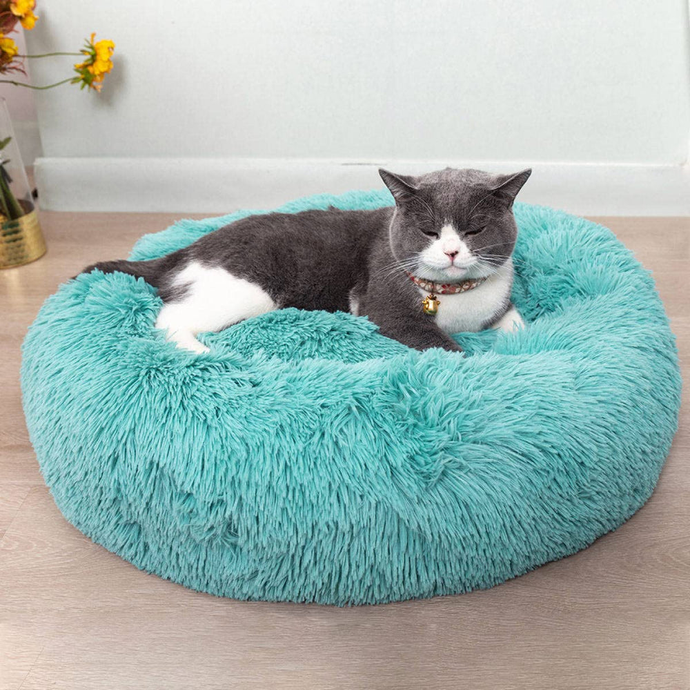 Generic cat bed round plush blue top view showing cozy donut design for curling