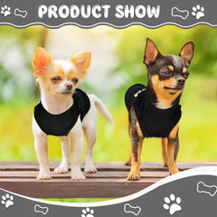 Generic Chihuahua clothes weather protection shirt for damp days.
