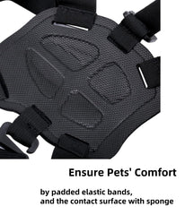 Generic dog harness comfort closeup shows padded straps and sponge contact surface.