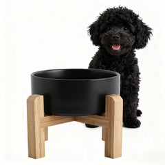 Generic elevated ceramic dog bowl with stand in black for easy, neck-friendly meals.