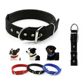 Generic Heavy-Duty Nylon Dog Collar: buckle close-up for secure outdoor walks.