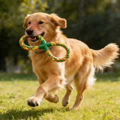 Generic heavy-duty cotton rope construction for long-lasting play.