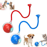 Generic Interactive Cat Ball full view in blue and red, ideal for indoor play.