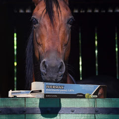 Generic Ivermax apple-flavored paste ready for on-horse dosing