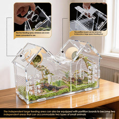Generic Jumping Spider Enclosure dual-doors facilitate feeding and observation