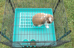 Generic Saguaro Acres resting mat in blue cushions feet while keeping bedding clean.