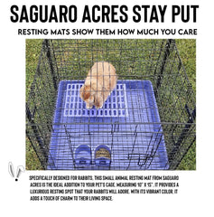 Generic Saguaro Acres resting mat in purple offers comfort and easy drainage.