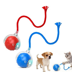 Generic Tiny Fetch Ball with 360° scroll for engaging indoor play.
