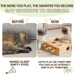 Generic Whack a Mole Cat Toy scratch board promotes scratching and enrichment.