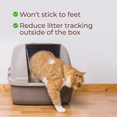 Genius Litter color-change indicator close-up showing early cues