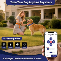 GeoPaws boundary circle visualization in app for accurate yard protection.