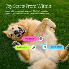 Get Joy product scoop image highlights convenient pre-measured portions for consistent feeding.