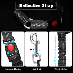 Giiyoe chew-proof seat belt demonstrating durability against aggressive chewers