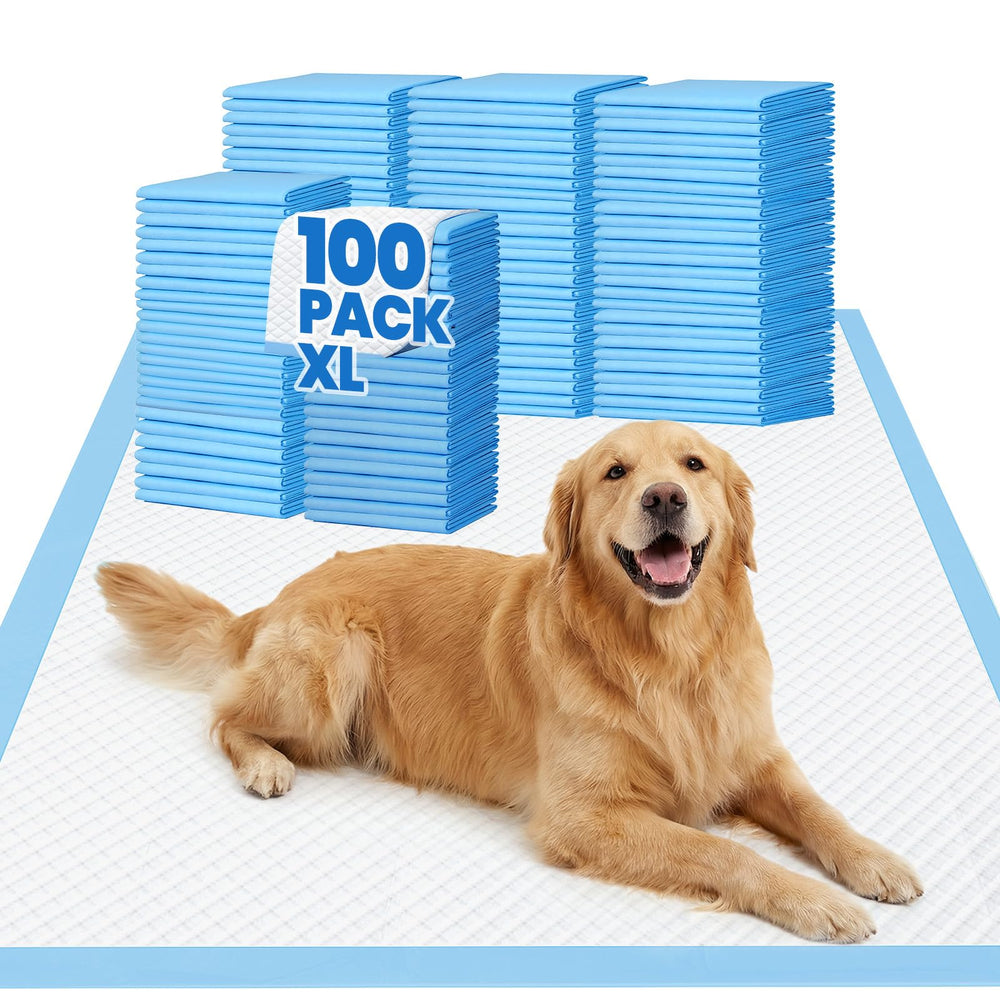 Gimars XL puppy pad 28x34 covers large areas for crates and floors
