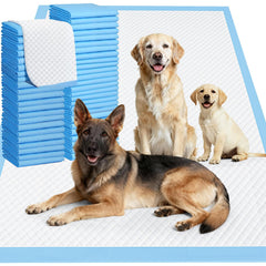 Gimars XXXL 31x47 inch pad provides ample space for large dogs during training.