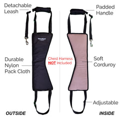 GingerLead cutout-for-male-dogs fits male dogs securely.