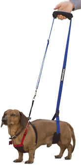 GingerLead dog sling base provides steady upright support during grooming or walks.