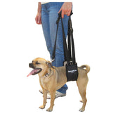 GingerLead dog sling front view for upright lifting support.