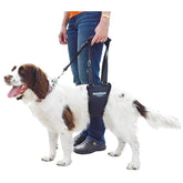 GingerLead dog sling harness front view for upright support during walks.