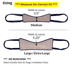 GingerLead Easy Lift sling back view with padded harness for comfort