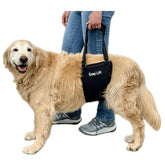 GingerLead Easy Lift sling front view showing rear-leg support for mobility