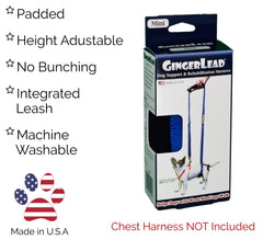 GingerLead integrated leash system lets you control your dog safely.
