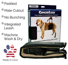 GingerLead padded-hip-support offers comfortable lifting for dogs.