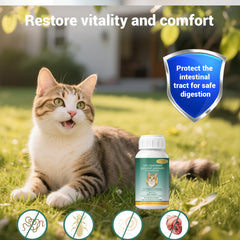 Ginzeca Cat Dewormer Liquid label close-up showing bottle details.
