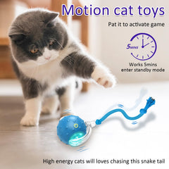 Giociv paw activation motion sensor powers the ball for play.