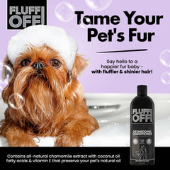 Applying Fluff Off conditioner to coat for easier grooming sessions.
