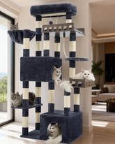 Gitelsnour Maine Coon cat tree base provides stable support for large cats.