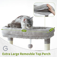 Gitelsnour Maine Coon Cat Tree top perch ready for lounging.