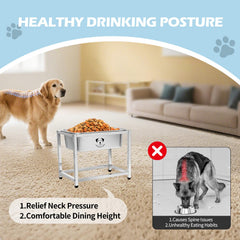 GIXSEGIE full metal stand supports stable, spill-resistant feeding for active dogs.