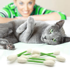 Safe materials and azo-free dyes in Glaciart One cat toys