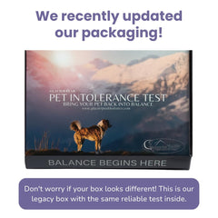 Glacier Peak Holistics cat hair sample kit for at-home allergy insights.
