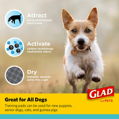 Glad for Pets charcoal puppy pad with leak-resistant edges protecting floors.