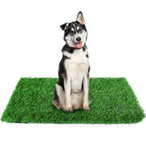 GLOBREEN potty grass pad on indoor floor for easy training