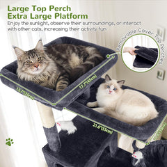 Globlazer cat tree scratching posts provide durable surfaces for playful scratching sessions.