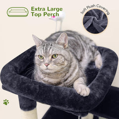 Globlazer cat tree top perch offering a wide view of the room.